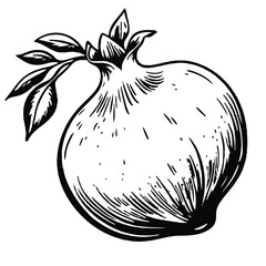 Seamless pattern with pomegranates