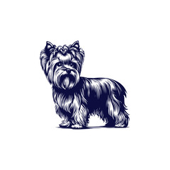 A black and white illustration of a dog named yorkshire terrier