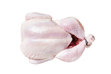 Raw chicken, poultry meat  Transparent background. Isolated.