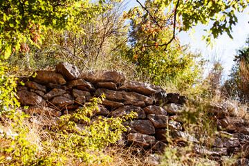 authentic real old house with grape overgrown facade in charming style
