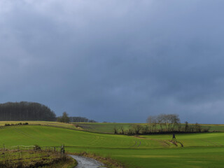 Saftiges Gr&uuml;n der Felder nach dem starken Regen
