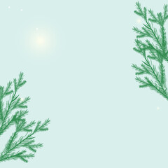 Fototapeta na wymiar christmas background with fir branches