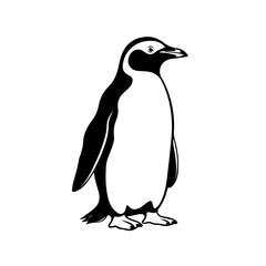Charming Penguin Vector Illustration