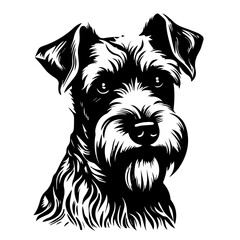 Loyal Schnauzer Dog Breed Vector Art