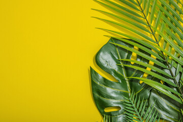 Summer vacation concept. Marine decor, palm and monstera leaves. Bright yellow background