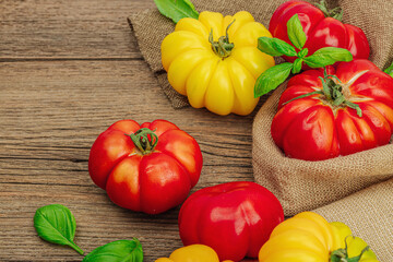 Colorful Heirloom tomato harvest. Ripe ribbed vegetables with fresh basil leaves. Wooden background