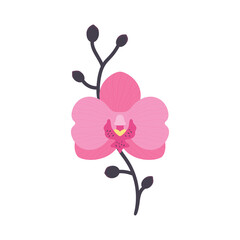 Hand drawn pink orchid flower with branch. Flat style. Vector illustration