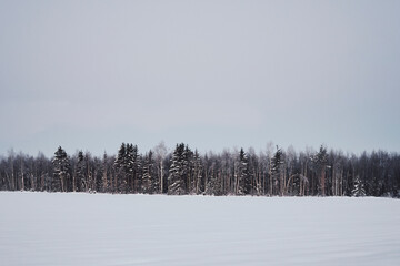 Morning by a field of rural Toten, Norway, in winter.