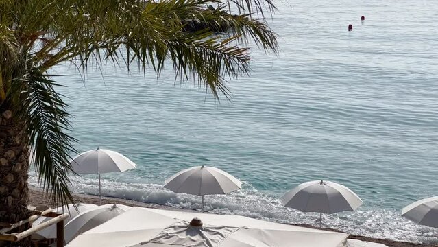 The famous beach Larvotto of principality of Monaco at sunny day, sun umbrellas, palm trees, azure water, nobody