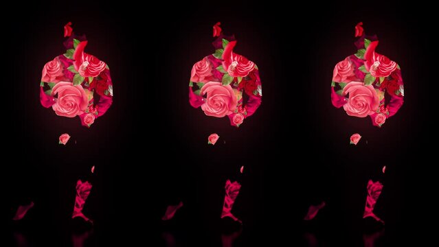 BodyBuilder silhouette in Rose Fall Trio on Black Ultra HD Video Art Video VJ Loop