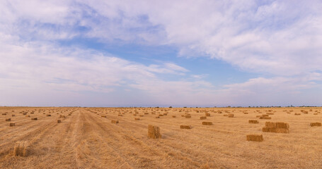 Lots of bales of hay on the field.