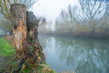 A frozen and misty on the shore of the river eure in Pont de l'arche  in the Normandy region of...