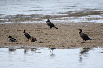 Valdoviño parque natural