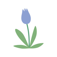 Summer and spring flora, plant and herb with petal, leaf. Cute modern flower. Blossomed flower element on white background. 