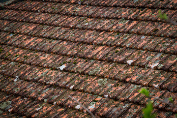 Detalhe de telha Marselha num estado danificado e sugo. Vestígios de humidade acentuada.