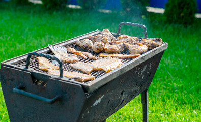 Outside, on the green lawn, there is a street grill on which ria and chicken are cooked.