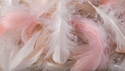 texture of delicate soft pink feathers