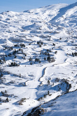 Fototapeta na wymiar aerial view from a drone, of a high mountain ski slope, with many skiers, in the french pyrenees.