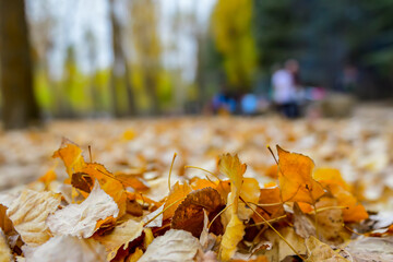 Sunday hikers eating in a recreational area in a forest.