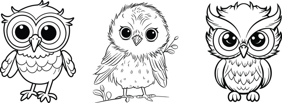 set of owls vector illustration  