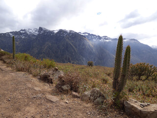 Colca Canyon (Rio Colca) - Arequipa, Peru
