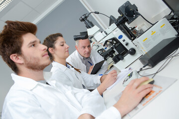 a laboratory interns doing research