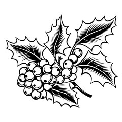 Festive Holly Berries and Leaves Vector