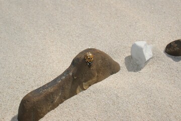 A row of stones in the light sand of the beach.