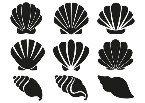 Seashell set silhouette illustration isolated on white background