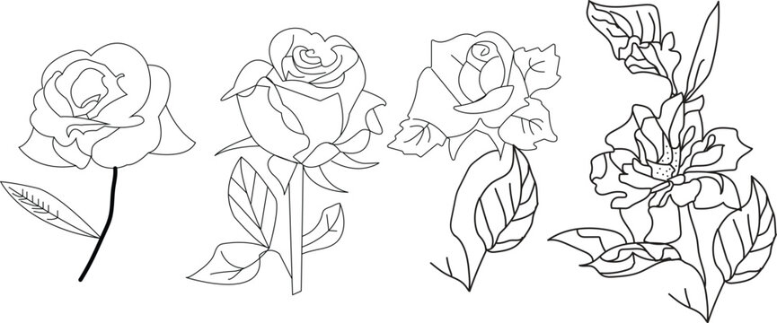 sets of black rose floral design.