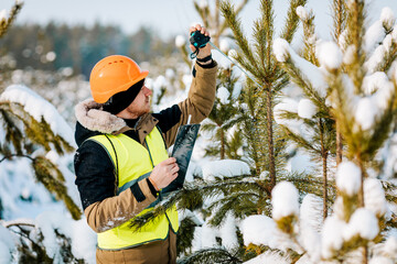 The forestry inspector inspects the forest lands.