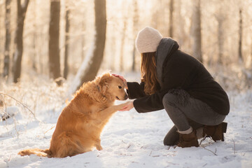 golden retriever type mixed breed dog sharing an intimate moment with a young woman sitting in the...