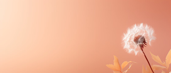 Whispers with a Dandelion in Hyperreal Detail Against Peach Backdrop