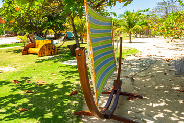 Umbrellas and sunbeds by the exotic tropical beach
