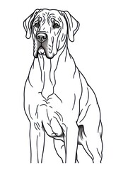 Coloring pages for kids, happy dog, cartoon style