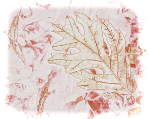 Isolated Oak Leaf on Pile - 703516415