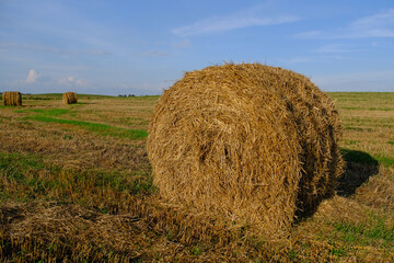 Haystack in the field