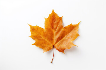 Fototapeta premium Autumn leaf isolated on white background. Generative AI.