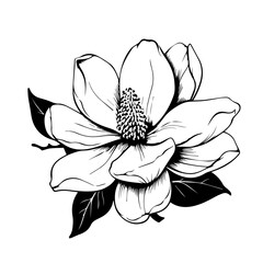 Elegant Magnolia Flower Vector Art - obrazy, fototapety, plakaty