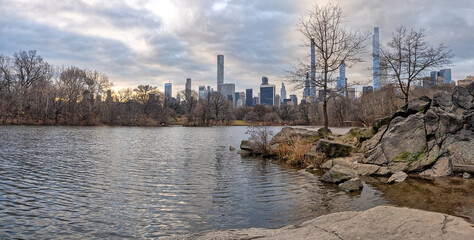 Central Park in winter