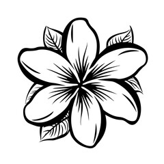 Tropical Plumeria Flower Vector Art