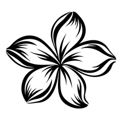 Tropical Plumeria Flower Vector Art