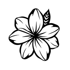 Tropical Plumeria Flower Vector Art