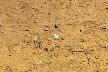 these pieces of glass, dispersed in the environment, could be recycled if they were brought in the appropriate containers
