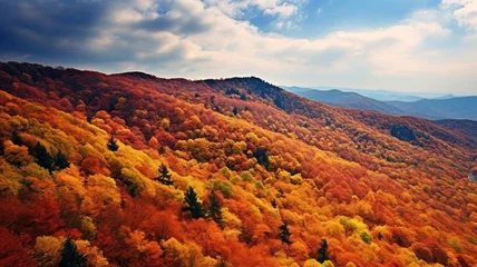 Papier Peint photo Rouge 2 autumn landscape in mountains. Drone view of autumn trees. Generative AI