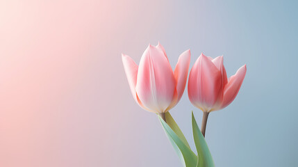 Fototapeta premium New Year, Christmas, Children's Day, Mother's Day, Father's Day, Thanksgiving, Valentine's Day, wedding, birthday, party, opening, press conference, award ceremony, business, e-commerce, celebration, 