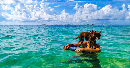 Pretty woman with dog on surfboard Playa del Carmen Mexico.