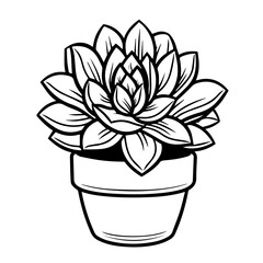 Lush Succulent Plant Vector Design