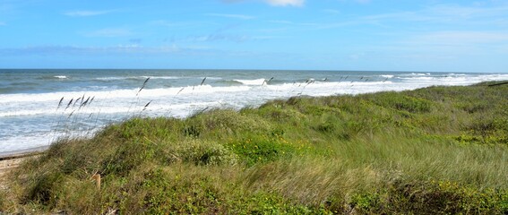 Scenic view of the ocean surf