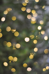 golden bokeh background